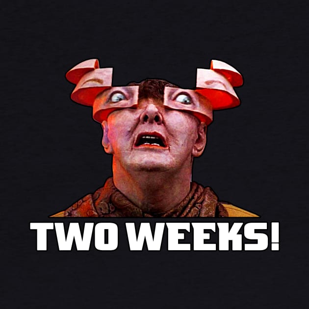 Two Weeks! by BigOrangeShirtShop